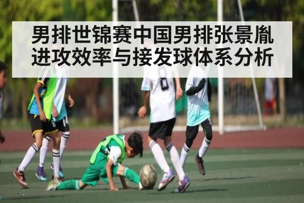 男排世锦赛中国男排张景胤进攻效率与接发球体系分析